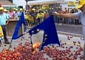 Испанские фермеры сожгли флаги ЕС из-за падения цен | ya62.ru