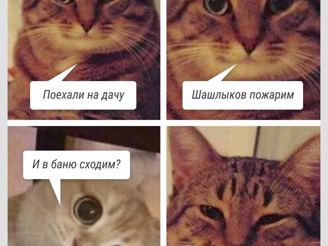 От такого предложения невозможно отказаться | Источник: Городские медиа