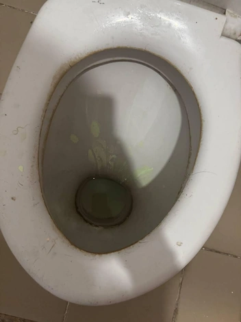 Санитарных врачей это устраивает… | Источник: читатель Voronezh1.ru