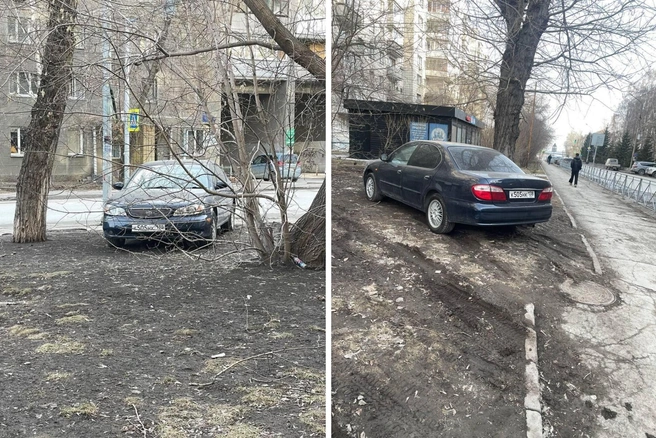 Возможно, водитель подумал, что это специальное место для парковки? | Источник: читатель НГС