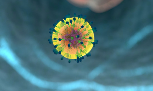Штамм коронавируса из ЮАР умеет считывать реакцию иммунной системы и меняется при каждой передаче от человека человеку