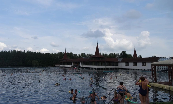 Источник: предоставлено Анной Ерофеевой