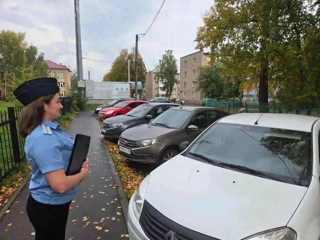 В Елабуге должница получила трое суток ареста | Источник: r16.fssp.gov.ru