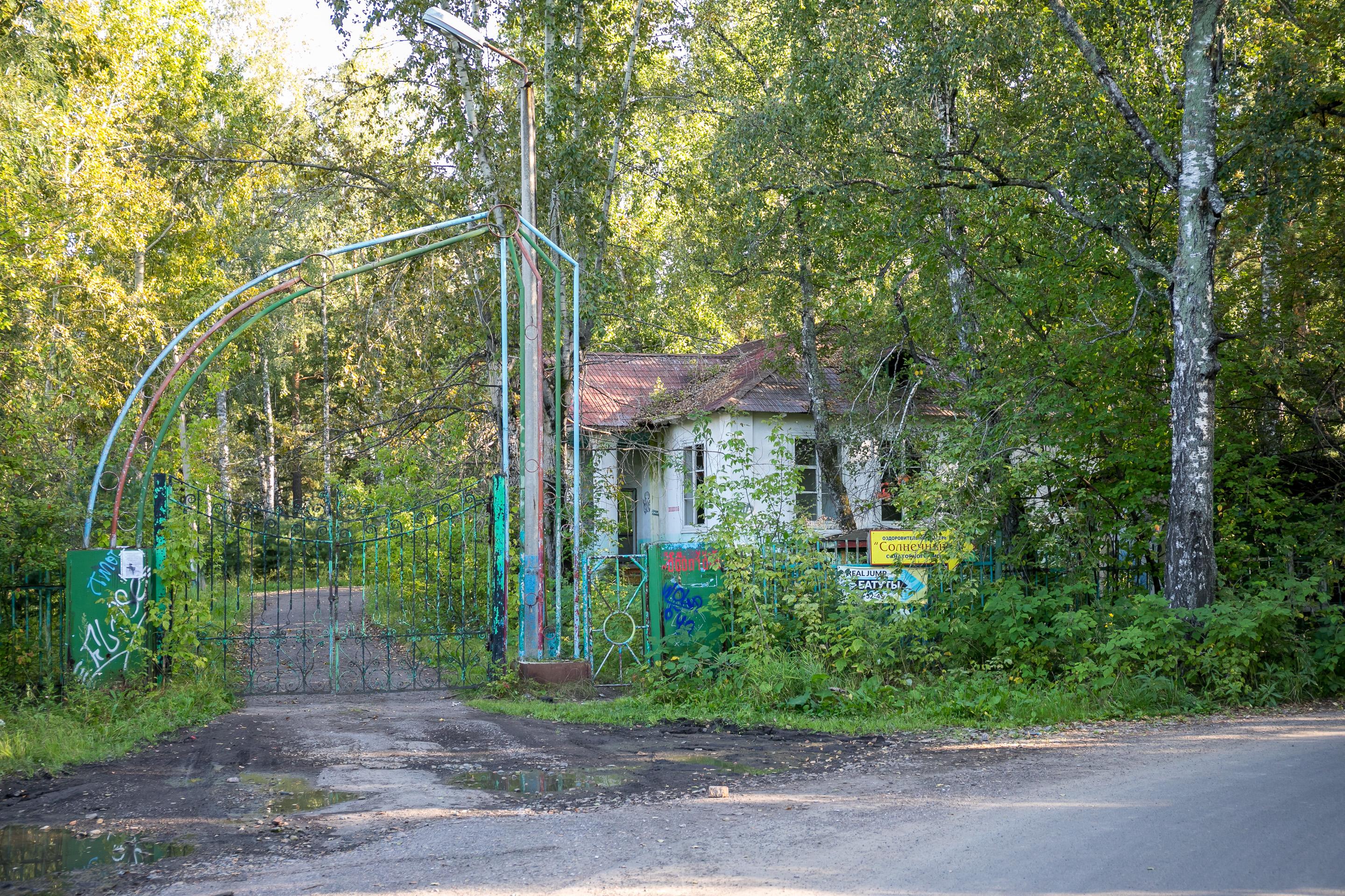 В Красноярске элитный застройщик освоит заброшенный пионерлагерь «Березки»  в Удачном - 26 апреля 2024 - НГС24.ру