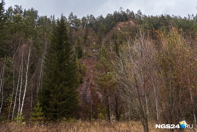 Местный ландшафт | Источник: Мария Ленц / NGS24.RU