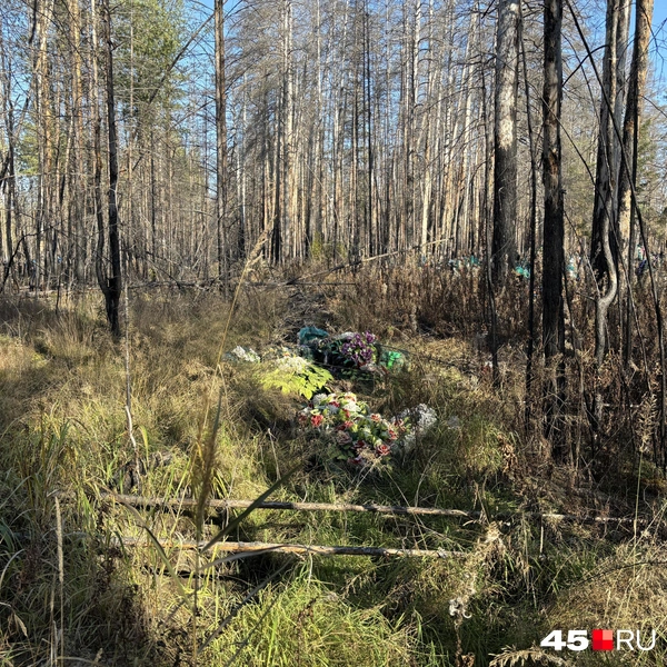 Источник: Кирилл Митин