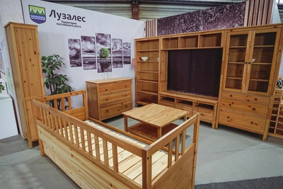 Бывший завод IKEA «Лузалес-Тихвин» накрыли иски
