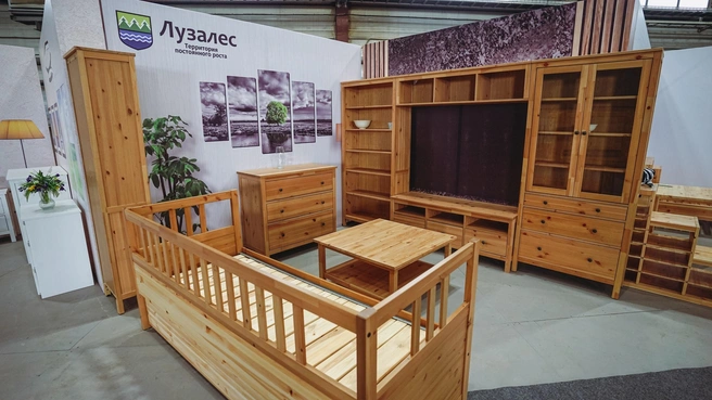 Не вывезли IKEA: «Лузалес-Тихвин» затянуло в лесные долги | Источник: Официальный сайт компании «Лузалес»