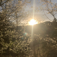 Аватарка Полина