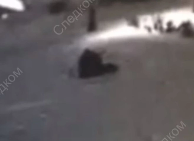 В Сибири школьница спаслась от насильника, напавшего на нее на улице (видео) | ya62.ru