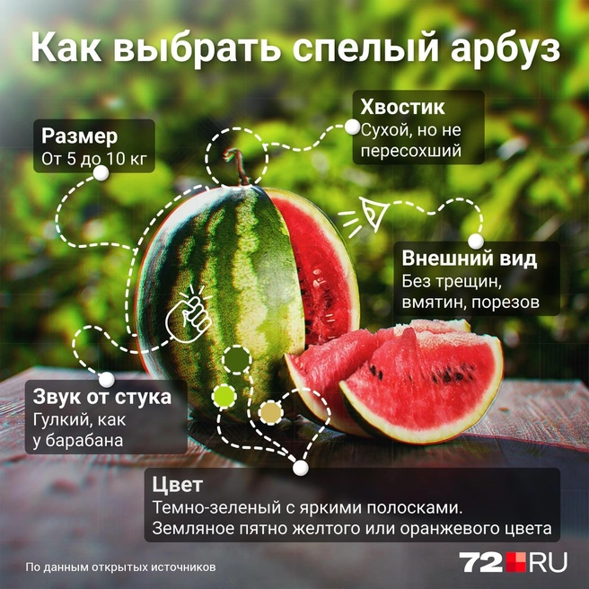 Источник: Дмитрий Гладышев / 72.RU