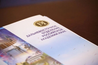 В Хабаровске появится представительство ДВО РАН