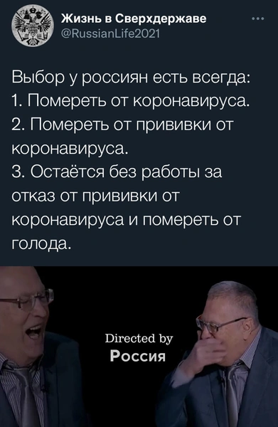 «Я не одна, я со «Спутником»: посмотрите, как шутят о прививках в соцсетях