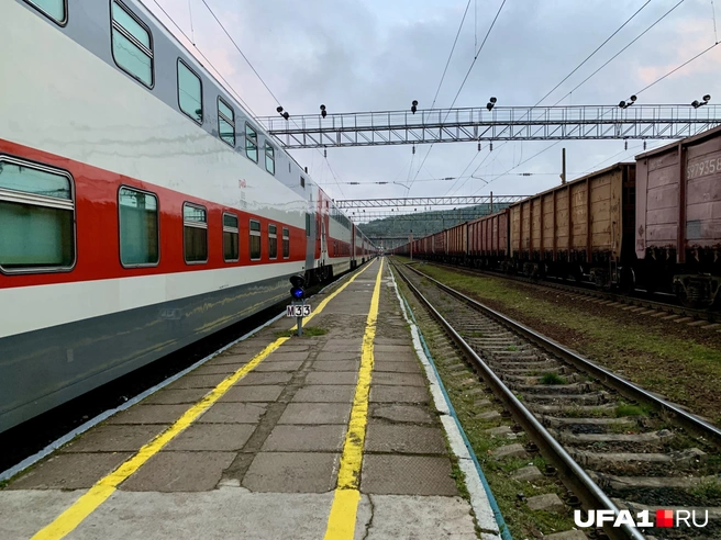 В Заполярье я также ездил — приехал в город на 12 часов, а чем заниматься там — ума не приложу