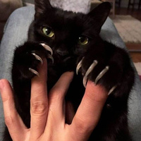 Аватарка Lunacy