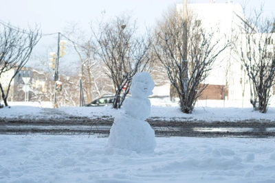 Владивосток ждёт снег в выходные без помех для дорог