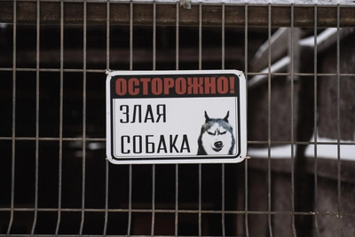 В Томске собака укусила девочку за лицо