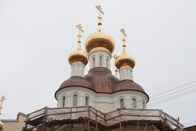 Что нельзя делать 6 ноября? | Источник: Михаил Огнев / FONTANKA.RU