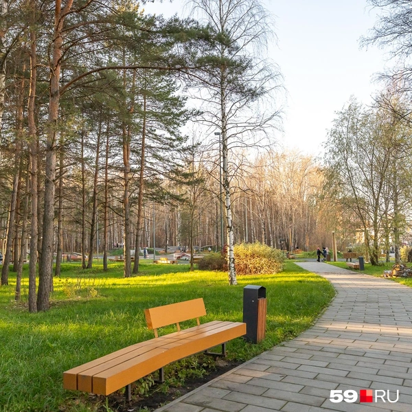 Можно присесть на лавочку или продолжить прогулку | Источник: Василина Любимова / 59.RU