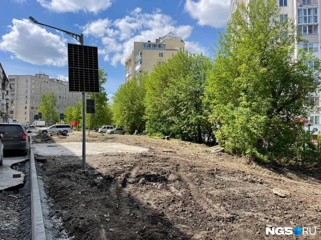 После коммунальщиков от красивого цветника, обустроенного бывшим старшим по дому, ничего не осталось | Источник: Александр Ощепков / NGS.RU