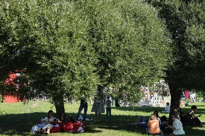 Как прошел первый день «Пира» на Которосли — фото