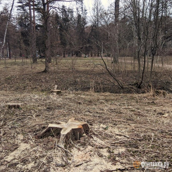 Источник: читатель «Фонтанки»