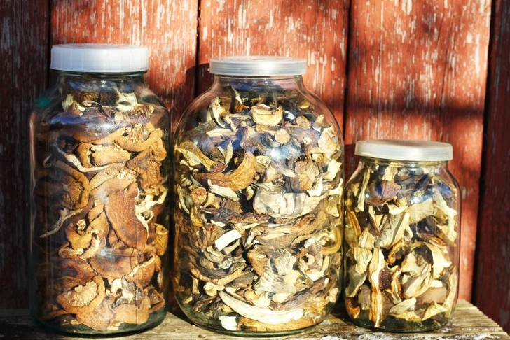 Источник: Totokzww&nbsp;via&nbsp;Shutterstock/Fotodom.ru