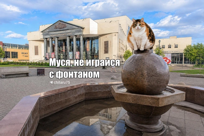 Источник: Вячеслав Палкин