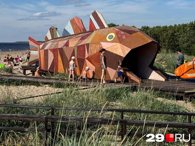 Источник: Валерия Богатырёва / 29.RU 