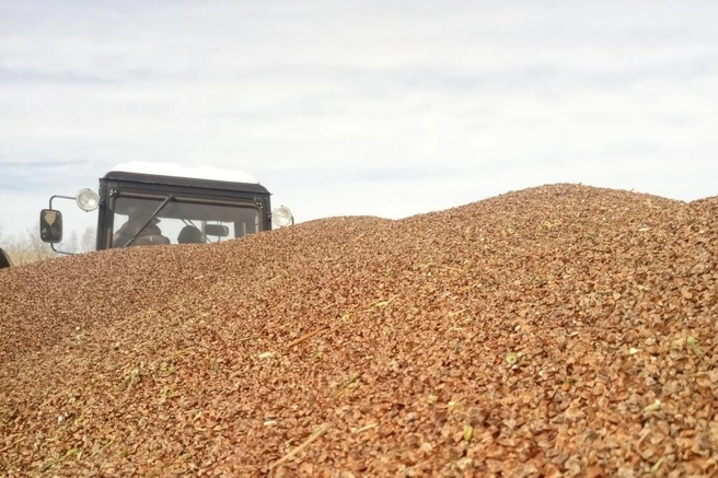 В научном центре пока не отреагировали по существу на жалобы сотрудников: руководство хочет выяснить, кто распространяет информацию | Источник: Sfsca.ru