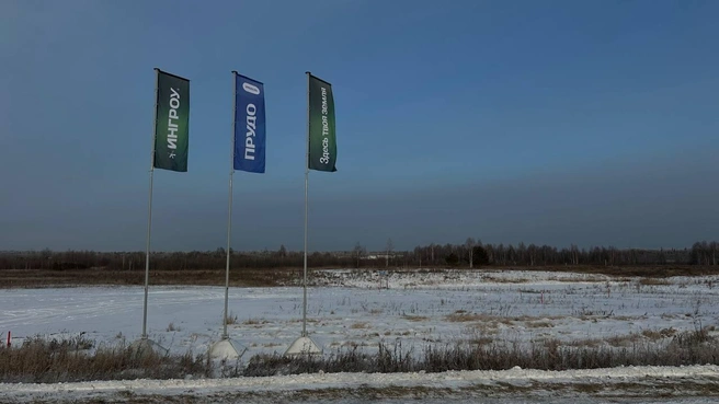 В поселке уже подведены электричество и газ | Источник: «ИНГРОУ»