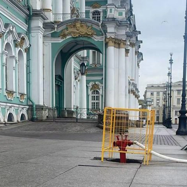 Источник: предоставлено «Фонтанке»