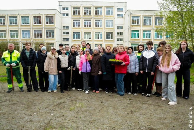 Источник: st.cherinfo.ru