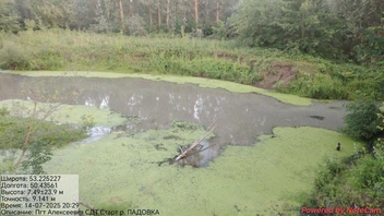Вода в Падовке изменила цвет | Источник: Заметки Афанасьева / T.me