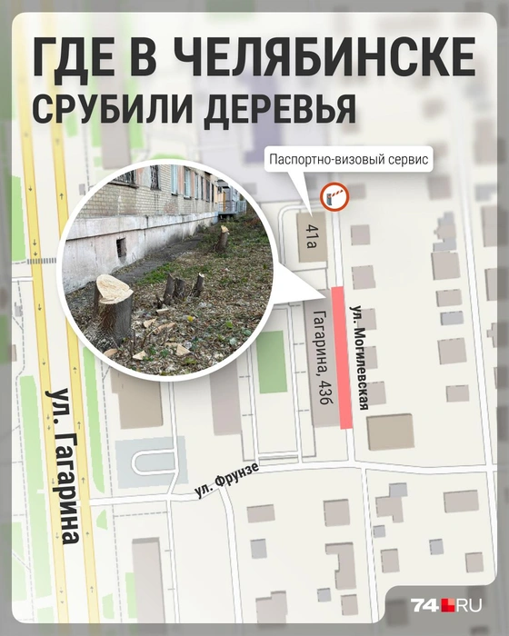 Источник: Филипп Сапегин 