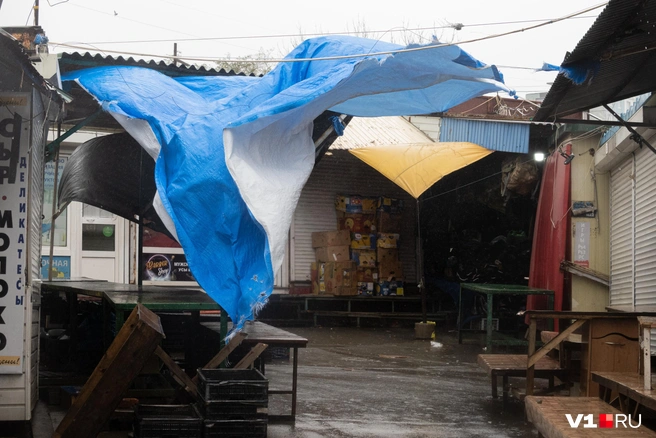 Крупные градины усеяли землю плотным ковром | Источник: Елена Буйвол / VLADIVOSTOK1.RU