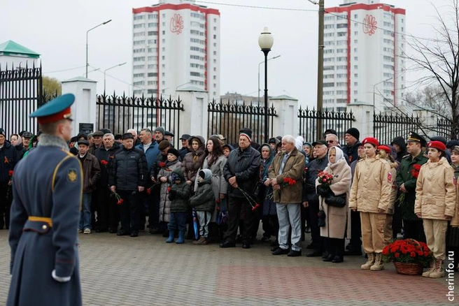 Источник: st.cherinfo.ru