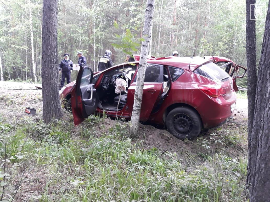 Под Кировградом Opel врезался в дерево: 20 июня 2020 года - 20 июня 2020 -  Е1.ру