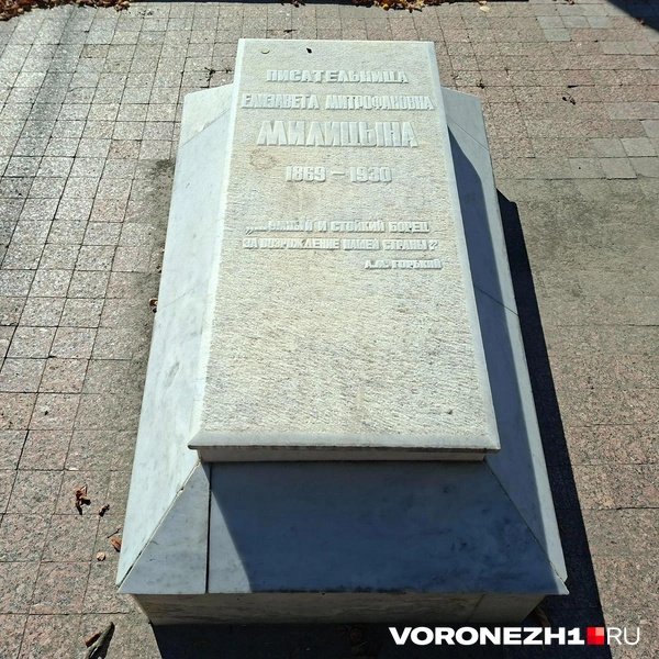 Источник: Алёна Воропаева / Voronezh1.ru