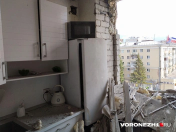 Источник: Дмитрий Волгин / Voronezh1.ru