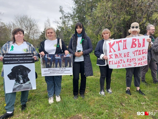 Зоозащитники выступают против поправок в законодательство | Источник: Екатерина Железнова / 93.RU
