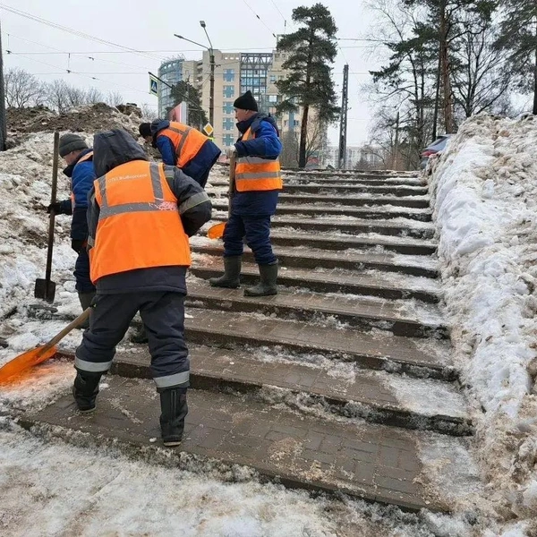 Источник: Комитет по благоустройству Петербурга