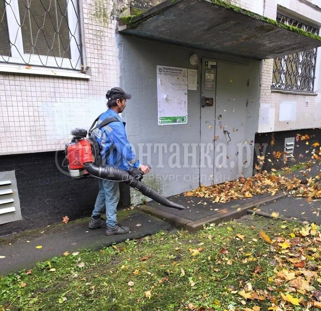 Дворник с воздуходувкой в Калининском районе | Источник: «Фонтанка»