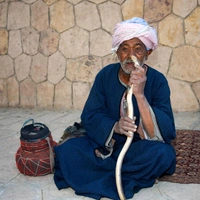 Смертельный номер: в Хургаде «дрессированная» змея заползла туристу в штаны и укусила