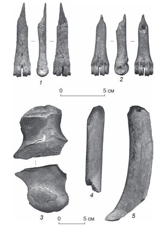 Костяные орудия, найденные на стоянке.1, 2&nbsp;— шилья на костях конечностей;3&nbsp;— скребло на отсеченном отростке бедренной кости носорога;4, 5&nbsp;— концевые орудия на ребрах. | Источник: С.Г.&nbsp;Васильев, Е.П.&nbsp;Рыбин. «Стоянка Толбага: поселенческая деятельность человека на ранней стадии верхнего палеолита Забайкалья»