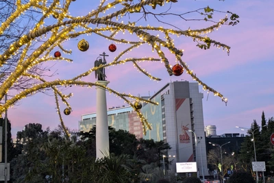 Сочи подвел экологические итоги: 33 тыс. растений и 4 ООПТ