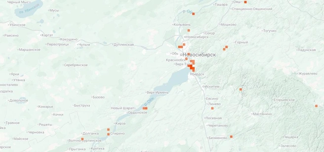 Нужно искать грибы у подножия крупных деревьев | Источник: inaturalist.org