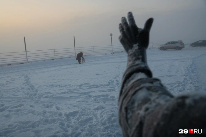 Источник: Иван Митюшёв / 29.RU