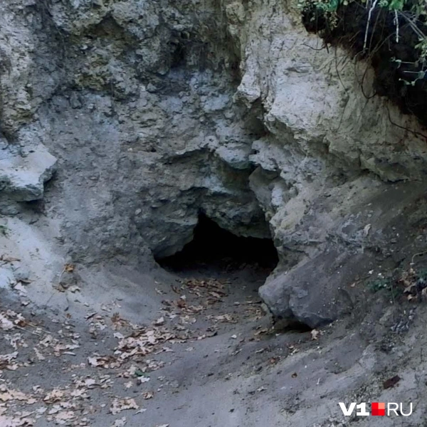 Источник: Илья Воробушкин / V1.RU