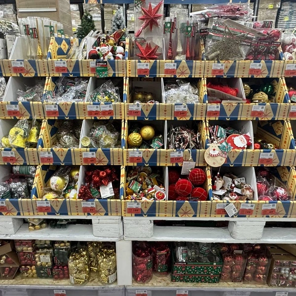 Можно найти звезды, колокольчики | Источник: Дарья Гранкина / 26.RU